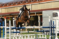 IMG_0002