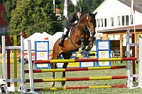IMG_0003