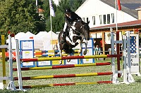 IMG_0014