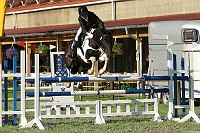 IMG_0015