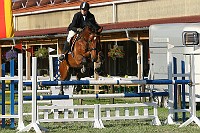 IMG_0029