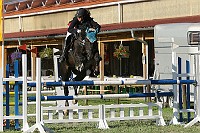 IMG_0031