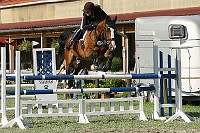 IMG_0060