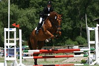 IMG_0018
