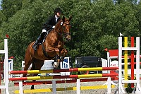IMG_0019