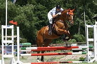 IMG_0029