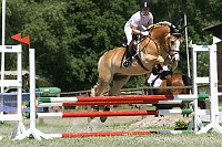 IMG_0045