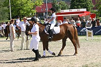 IMG_0038