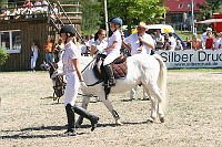 IMG_0041