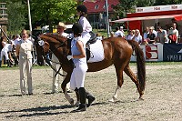 IMG_0042