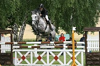 IMG_0008