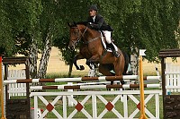 IMG_0037