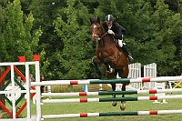 IMG_0009