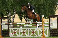 IMG_0010