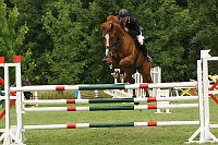 IMG_0013