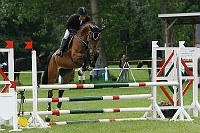 IMG_0078