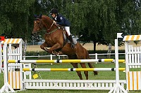 IMG_0029
