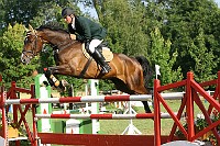 IMG_0025