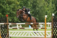 IMG_0037