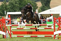 IMG_0006