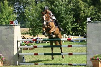 IMG_0006