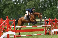 IMG_0013