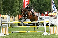 IMG_0010