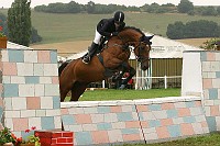 IMG_0010