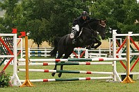 IMG_0031