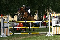 IMG_0006
