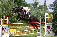 IMG_0011