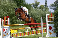 IMG_0016