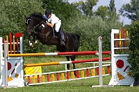 IMG_0019