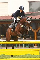 IMG_0018
