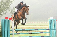 IMG_0001