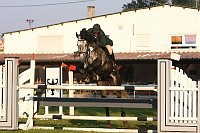 IMG_0001