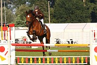 IMG_0007
