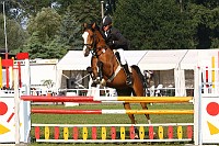 IMG_0001