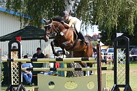 IMG_0018