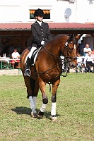 IMG_0011