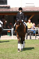 IMG_0040