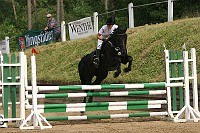IMG_0036