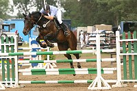 IMG_0053
