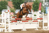 IMG_0066