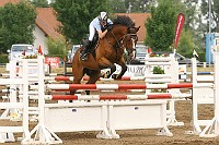 IMG_0078