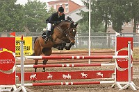 IMG_0008