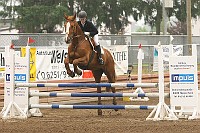 IMG_0003
