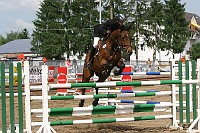 IMG_0016