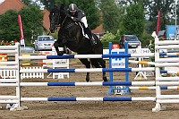 IMG_0042