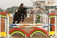 IMG_0041